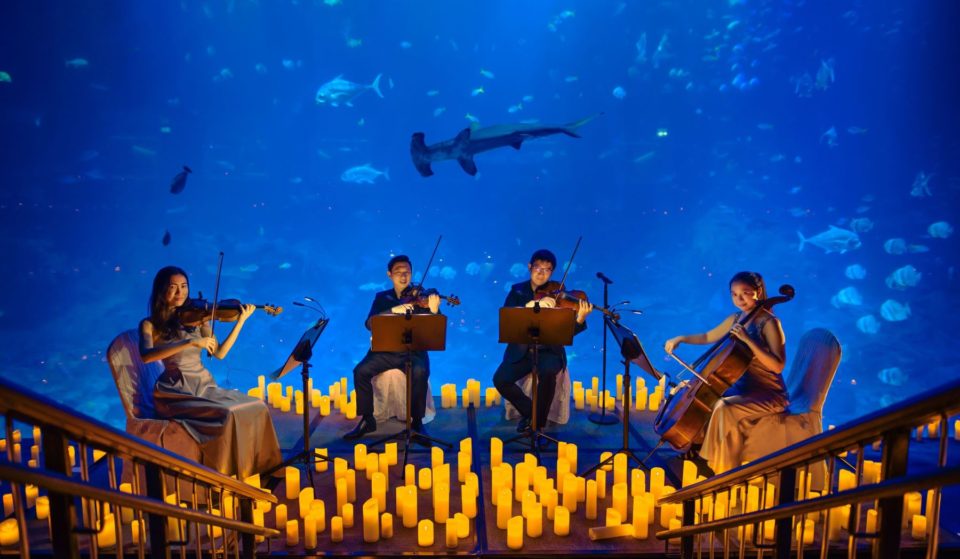 Experience A Breathtaking Candlelight Concert At The UK’s Largest Aquarium