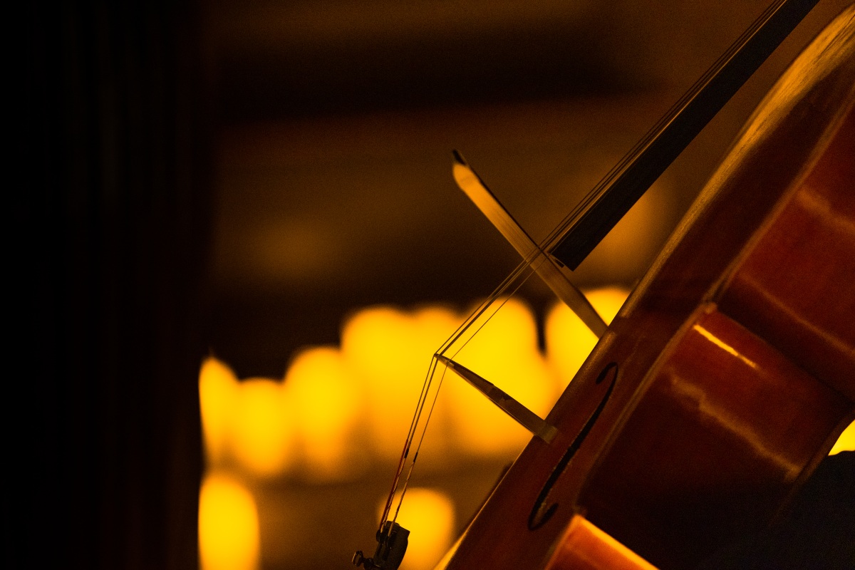 A close up of the strings of a cello by candlelight.