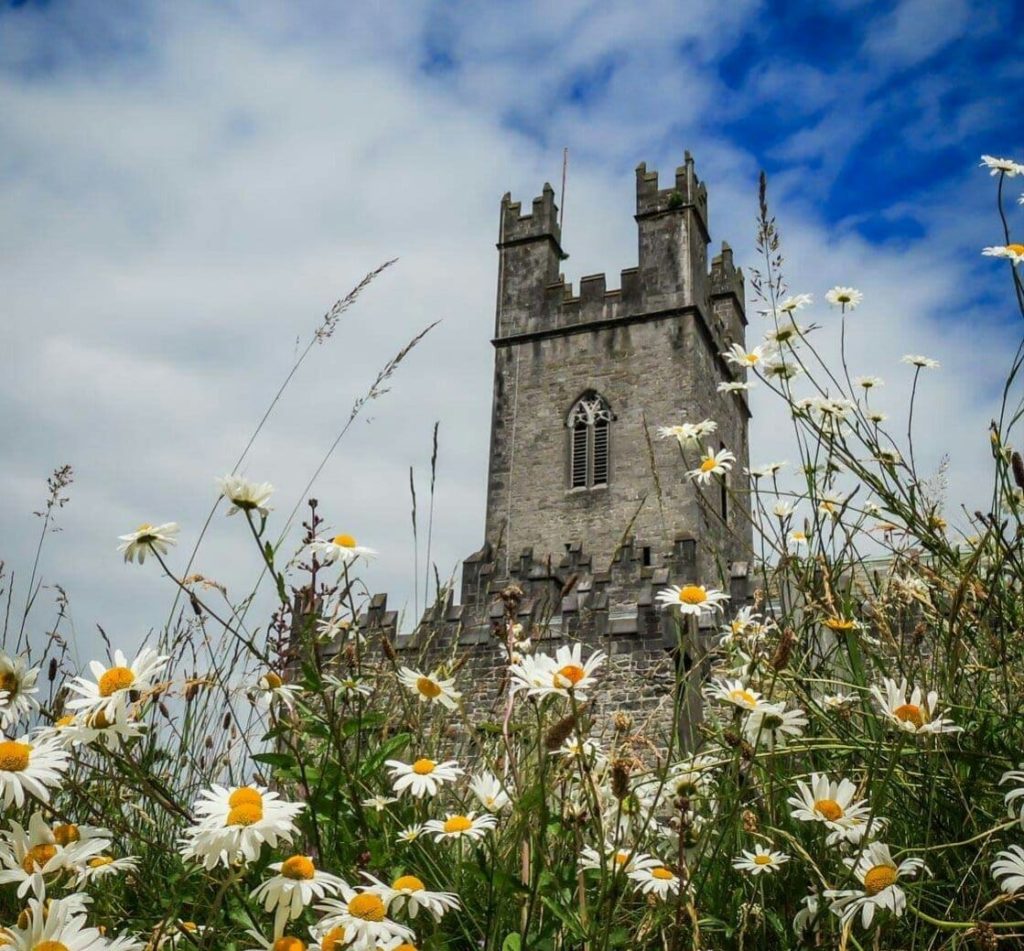 A view of Sanit Mary's Cathedral in Limerick surrounded by flowers.