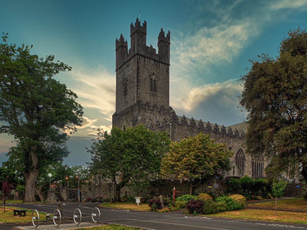 The exterior of Saint Mary's Cathedral in Limerick surrounded by trees.