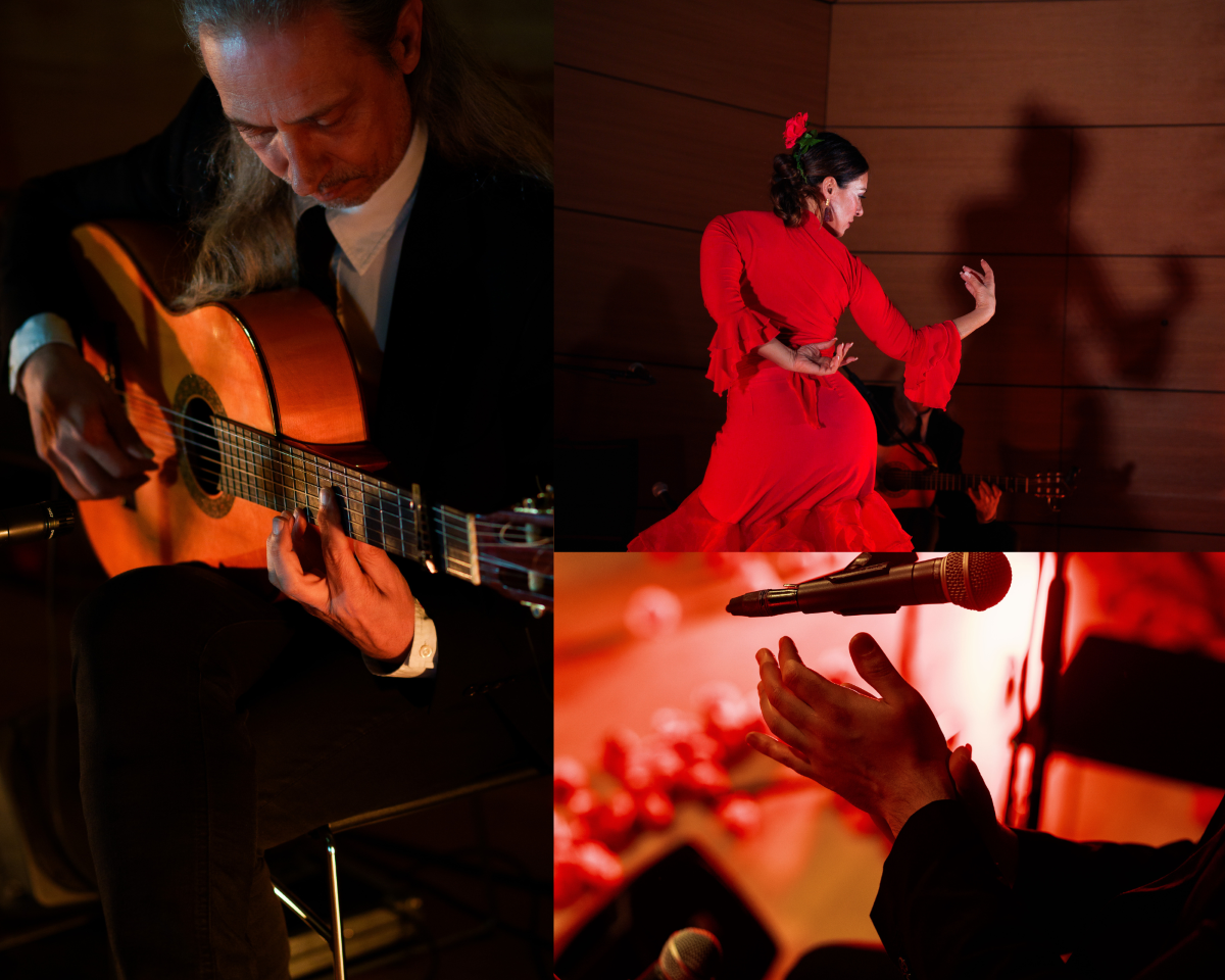 Een collage van dansende en musicerende artiesten bij We Call It Flamenco.