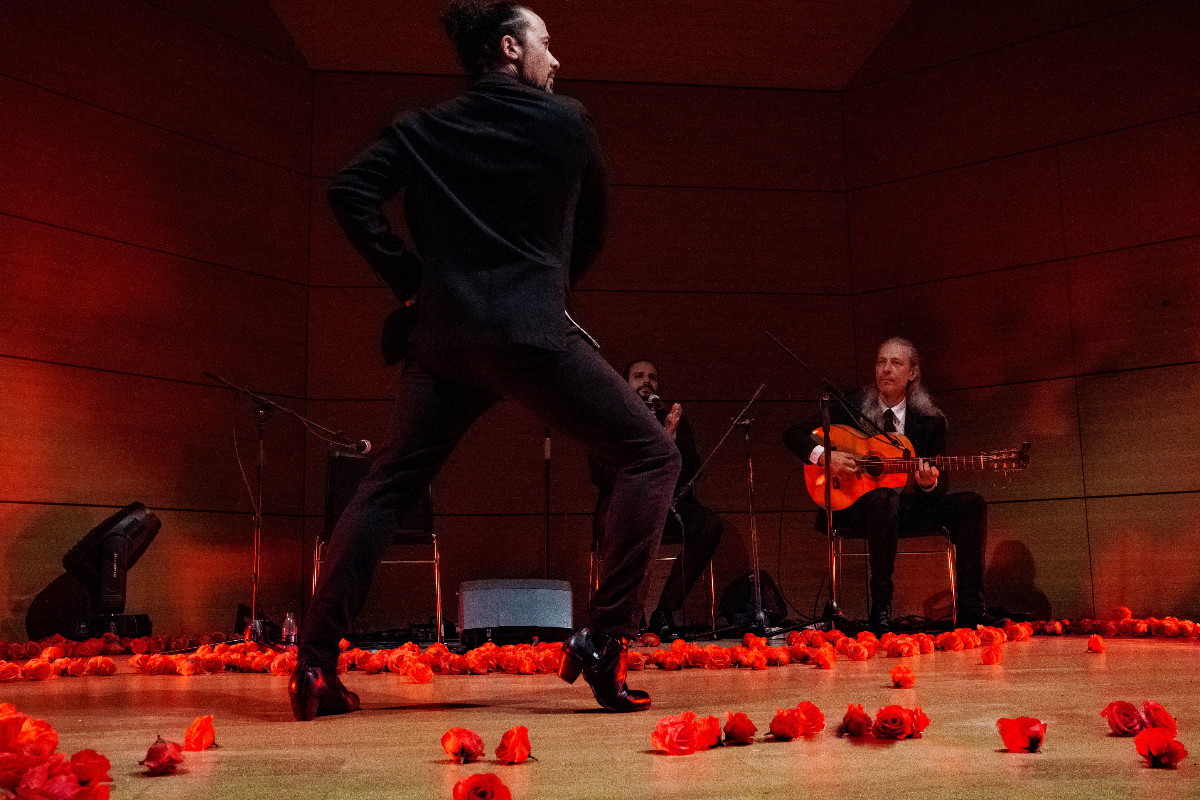 A male flamenco dancer performing on stage surrounded by roses at We Call It Flamenco